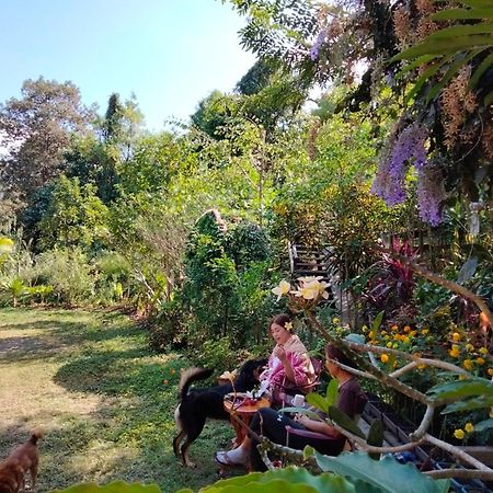 Ban Suan Nai Fun Homestay Pua Extérieur photo