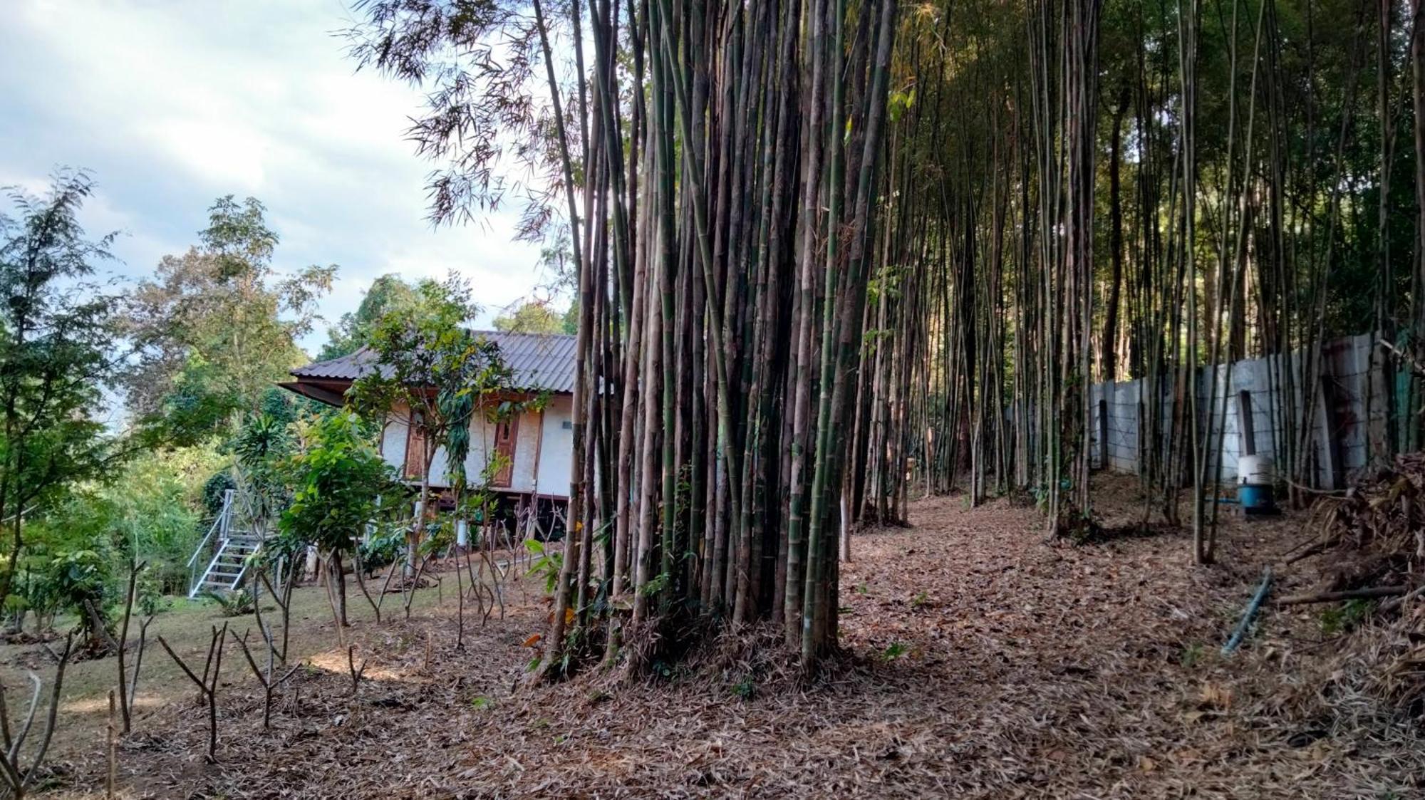 Ban Suan Nai Fun Homestay Pua Extérieur photo