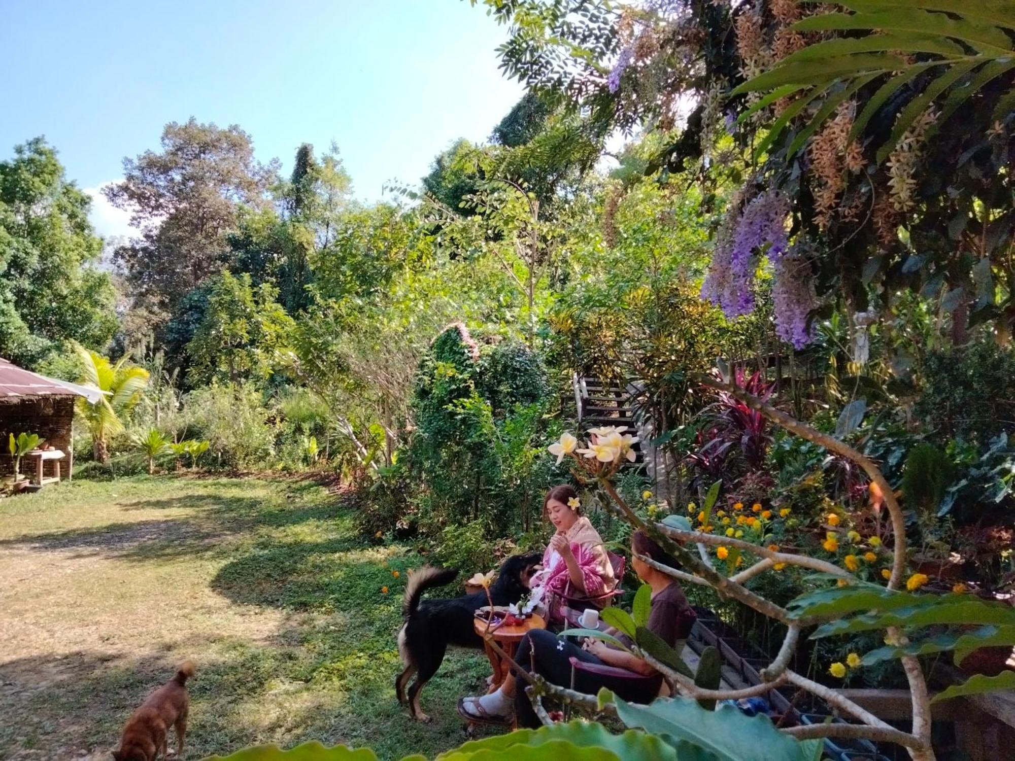 Ban Suan Nai Fun Homestay Pua Extérieur photo